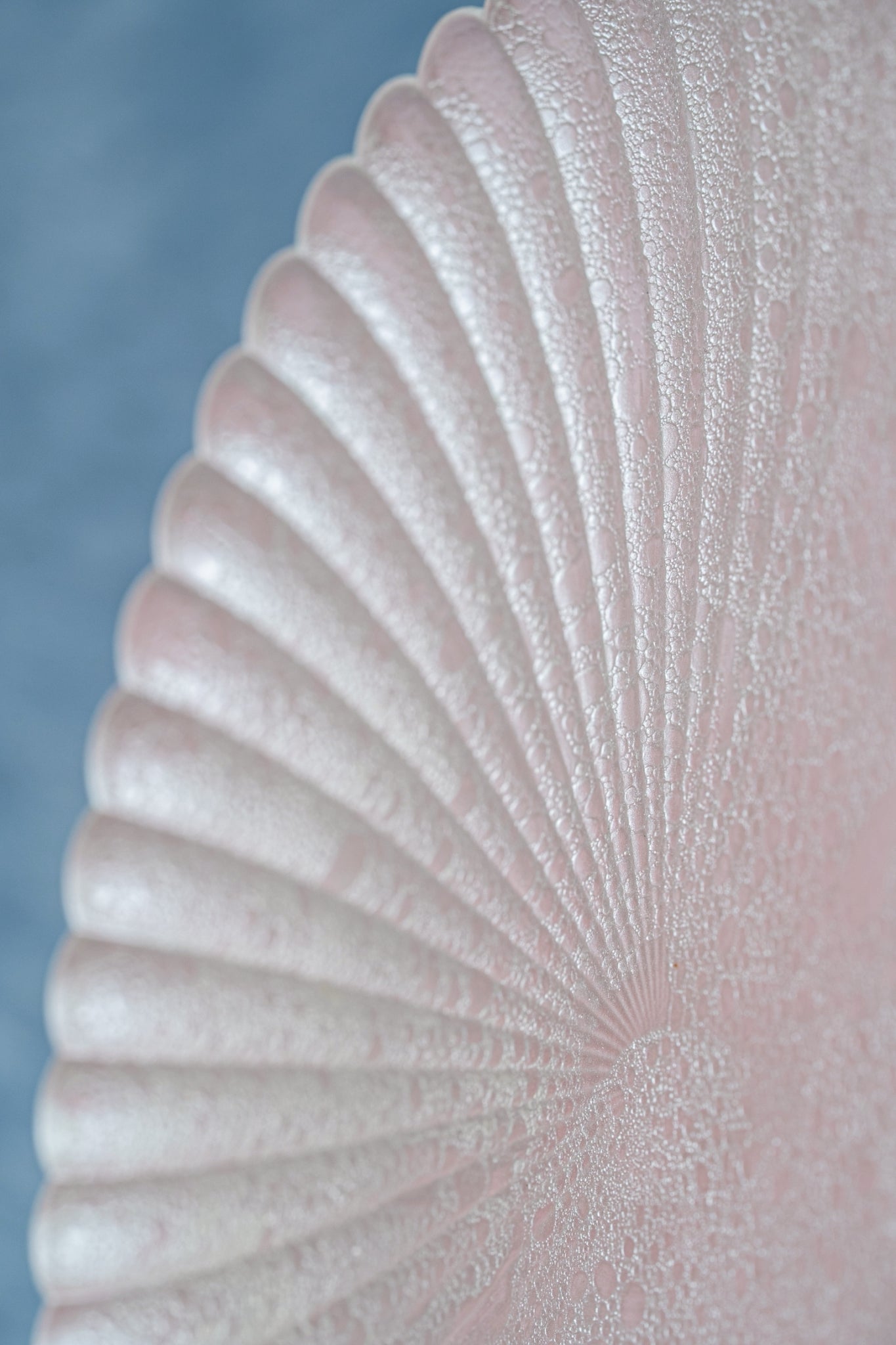 【旅皿】泡化粧ピンクパール 22cmプレート